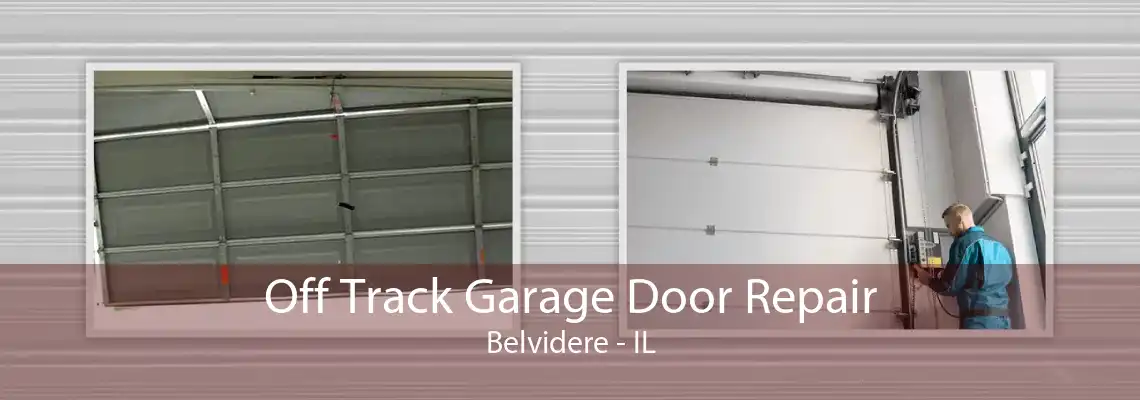 Off Track Garage Door Repair Belvidere - IL