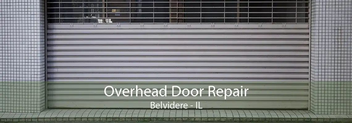 Overhead Door Repair Belvidere - IL