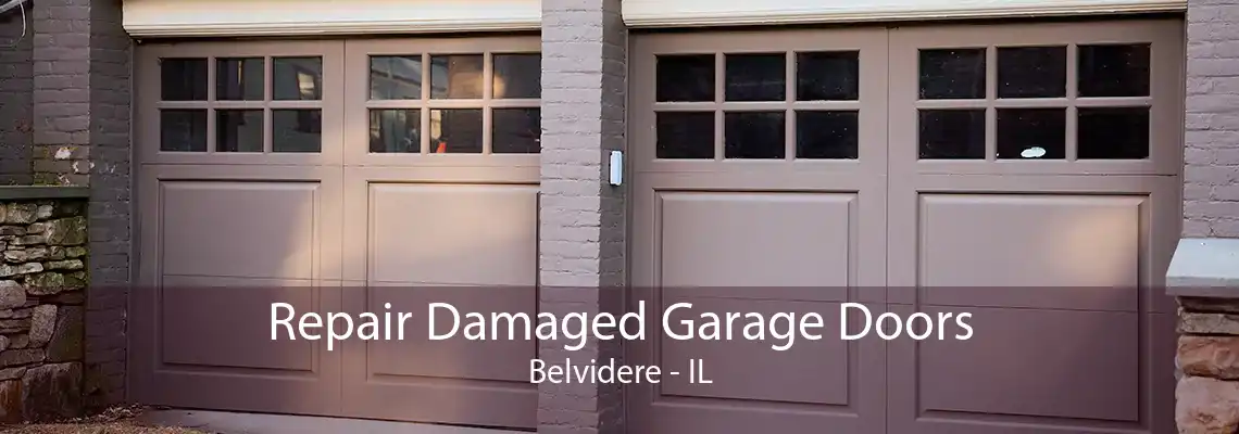 Repair Damaged Garage Doors Belvidere - IL