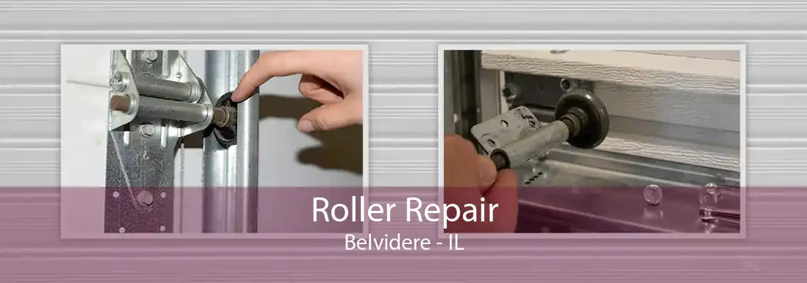 Roller Repair Belvidere - IL