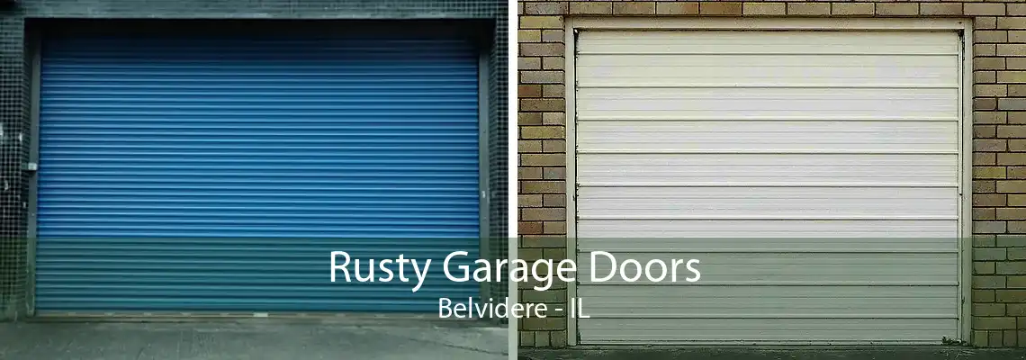 Rusty Garage Doors Belvidere - IL