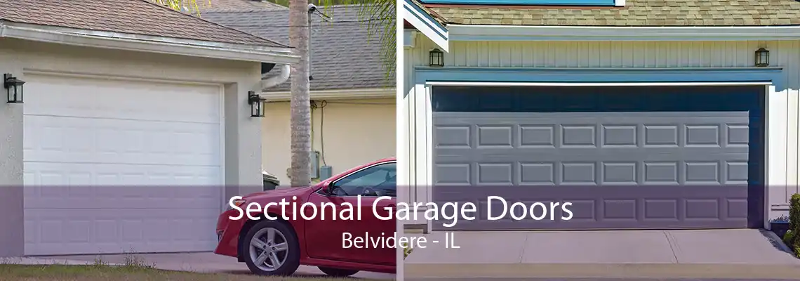 Sectional Garage Doors Belvidere - IL