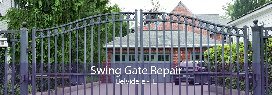 Swing Gate Repair Belvidere - IL